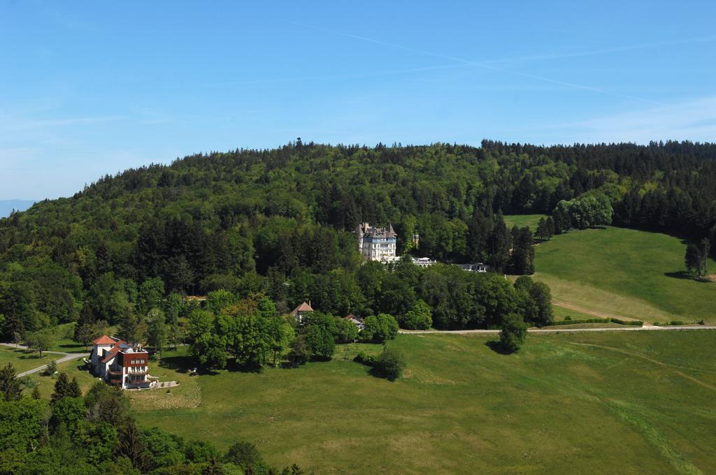 Chateau Des Avenieres Cruseilles Exterior foto